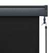 Outdoor Roller Blind 120x250 cm Anthracite