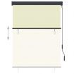 Outdoor Roller Blind 120x250 cm Cream