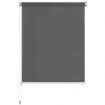 Outdoor Roller Blind 140x230 cm Anthracite