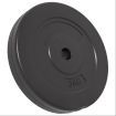 Weight Plates 6 pcs 30 kg Cement