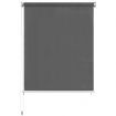 Outdoor Roller Blind 220x140 cm Anthracite