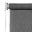 Outdoor Roller Blind 220x140 cm Anthracite