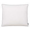 Pillows 2 pcs Down/Feather Filling Light 70x60 cm White