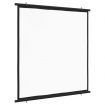 Projection Screen 160 cm 1:1