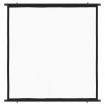 Projection Screen 119.4 cm 1:1