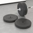 Weight Plates 2 pcs 30 kg Cement