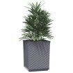 Planters 4 pcs Dark Grey 30x30x37 cm Polypropylene