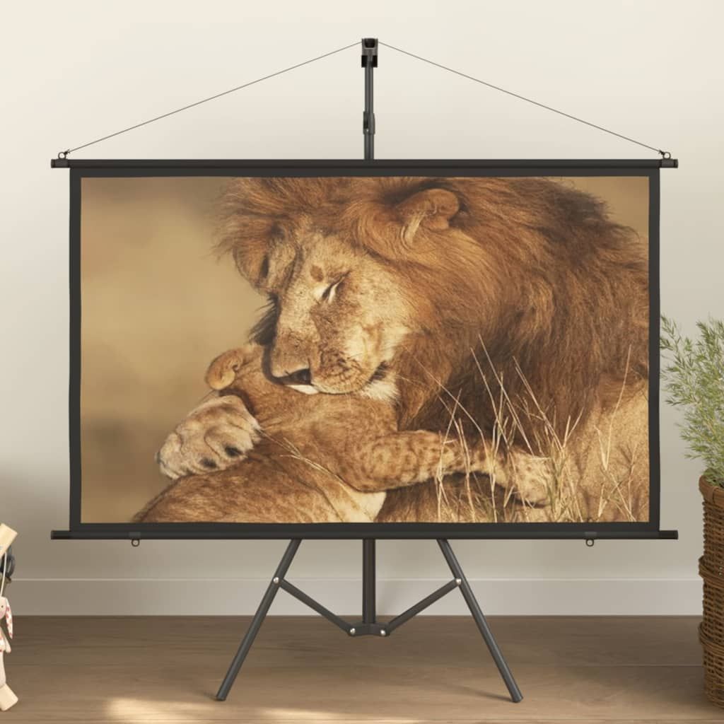 Projection Screen with Tripod 60" 16:9