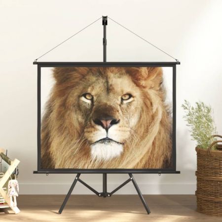 Projection Screen with Tripod 50" 4:3