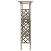 Pergola with Gate 116x40x204 cm Grey Solid Firwood