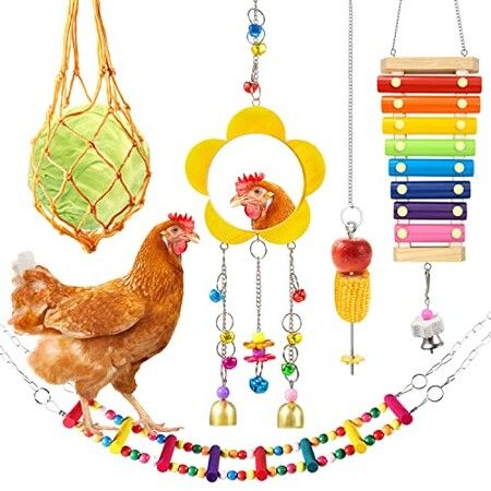 5 Packs Chicken Toys, Chicken Xylophone hens, Chicken Mirror Toys, Chicken Ladders Swing Toys and Vegetable Hanging Feeder Chicken Coop Accessories