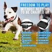 2-in-1 Wireless Dog Fence,Training Collar with Remote Electric Fence for Ultimate Dog Safety and Freedom.Shock Collar for Large Dog,Shock Collar (3 Collars + Transmitter)