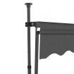 Manual Retractable Awning with LED 300 cm Anthracite