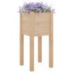 Garden Planters 2 pcs 31x31x70 cm Solid Pinewood