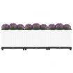 Raised Bed 120x40x38 cm Polypropylene