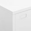 Industrial Storage Chest White 75x40x115 cm Metal