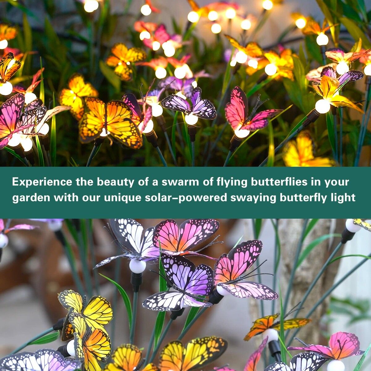 https://img.crazysales.com.au/products_pictures/307/307537_2663649_F.jpg