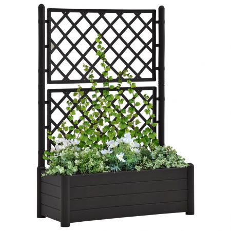 Garden Planter with Trellis 100x43x142 cm PP Anthracite