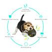 Dog Toy Ball for Aggressive Chewers Make Funny Giggle When Wiggle Interactive Pet Toy Boredom for Dog(Black-Yellow)