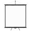 Projection Screen with Tripod 160 cm 1:1