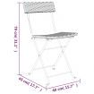 Folding Bistro Chairs 2 pcs Black Poly Rattan and Steel