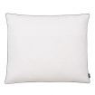 Pillows 2 pcs Down/Feather Filling Heavy 70x60 cm White