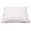 Pillows 2 pcs Down/Feather Filling Heavy 70x60 cm White