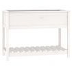 Planter with Shelf White 111.5x54x81 cm Solid Wood Pine