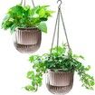 2 Pack Self Watering Hanging Planters Indoor Flower Pots,6.5 Inch Outdoor Hanging Basket,Plant Hanger with 3Hooks Drainage Holes for Garden Home (Grey)