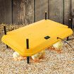 Chick Brooder Heating Plate Warmer Chicken Coop Brooding Heater Poultry Duckling Chook 40x60cm 40 to 50 Chicks Adjustable Height