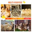 Chick Brooder Heating Plate Warmer Chicken Coop Brooding Heater Poultry Duckling Chook 40x60cm 40 to 50 Chicks Adjustable Height