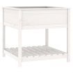 Planter with Shelf White 82.5x82.5x81 cm Solid Wood Pine