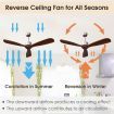 Ceiling Fan with 3 Wooden Blades for Bedroom & Patio