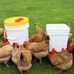 Chicken Feeder No Waste Automatic Poultry Feeder Ports Kit Chicken Feeders and Waterer Set14 Pack(Red)