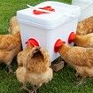 Chicken Feeder No Waste Automatic Poultry Feeder Ports Kit Chicken Feeders and Waterer Set14 Pack(Red)