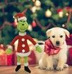 12.5 Inch Grinch Toys,The Green Monster Plush,Christmas Grinch Doll For Home Decoration For Family And Friends