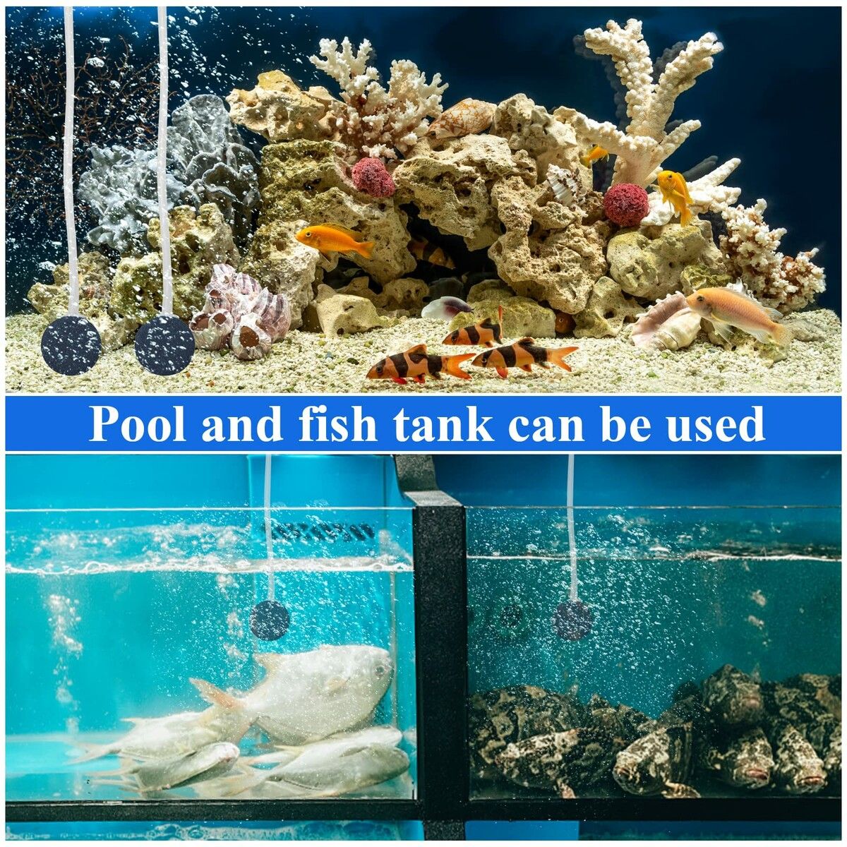 https://img.crazysales.com.au/products_pictures/311/311589_2698633_F.jpg