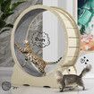 Wood Cat Wheel Exercise Treadmill Dog Running Exerciser Gym Puppy Walking Indoor Kitty Spinning Workout Training Equipment