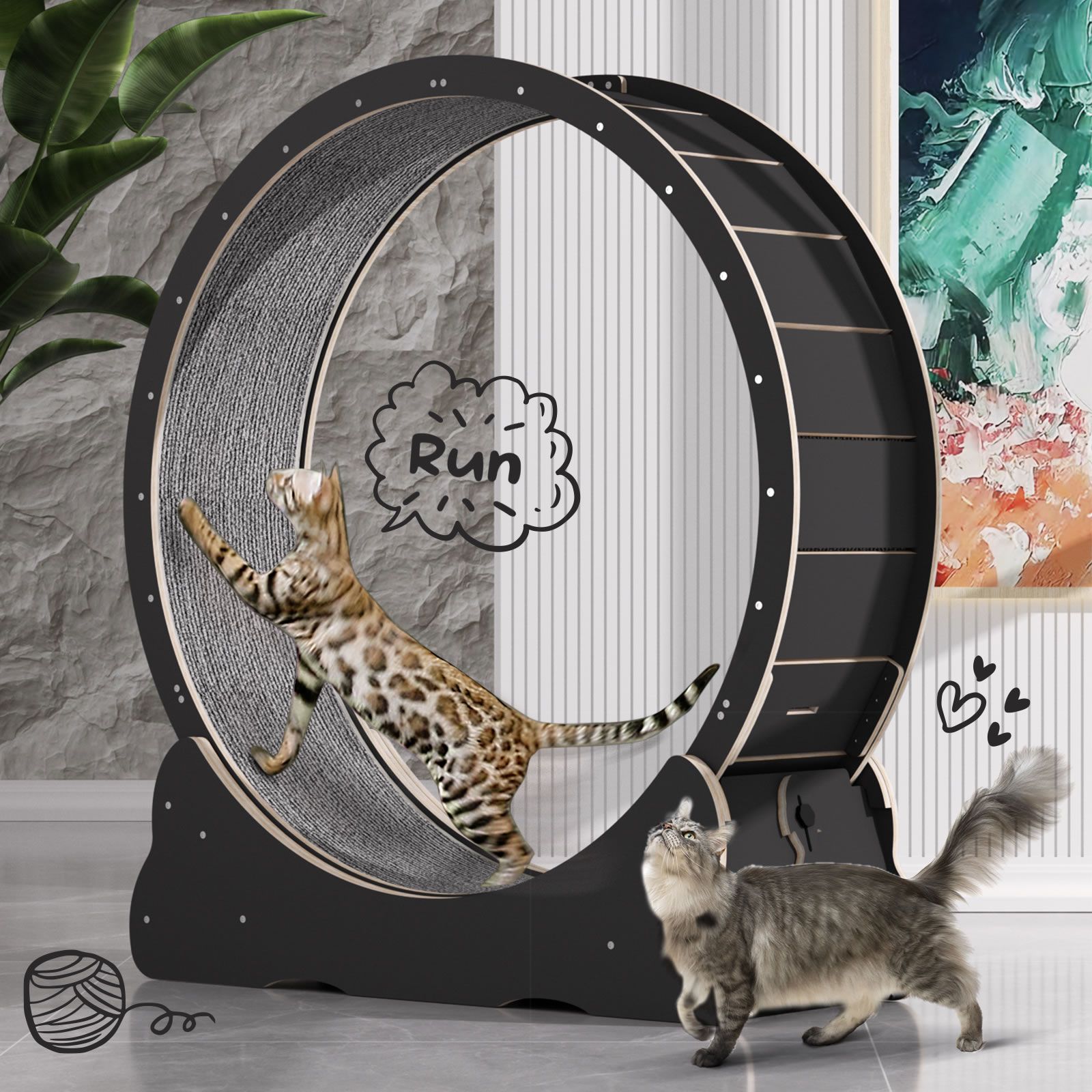 Cat workout wheel sale