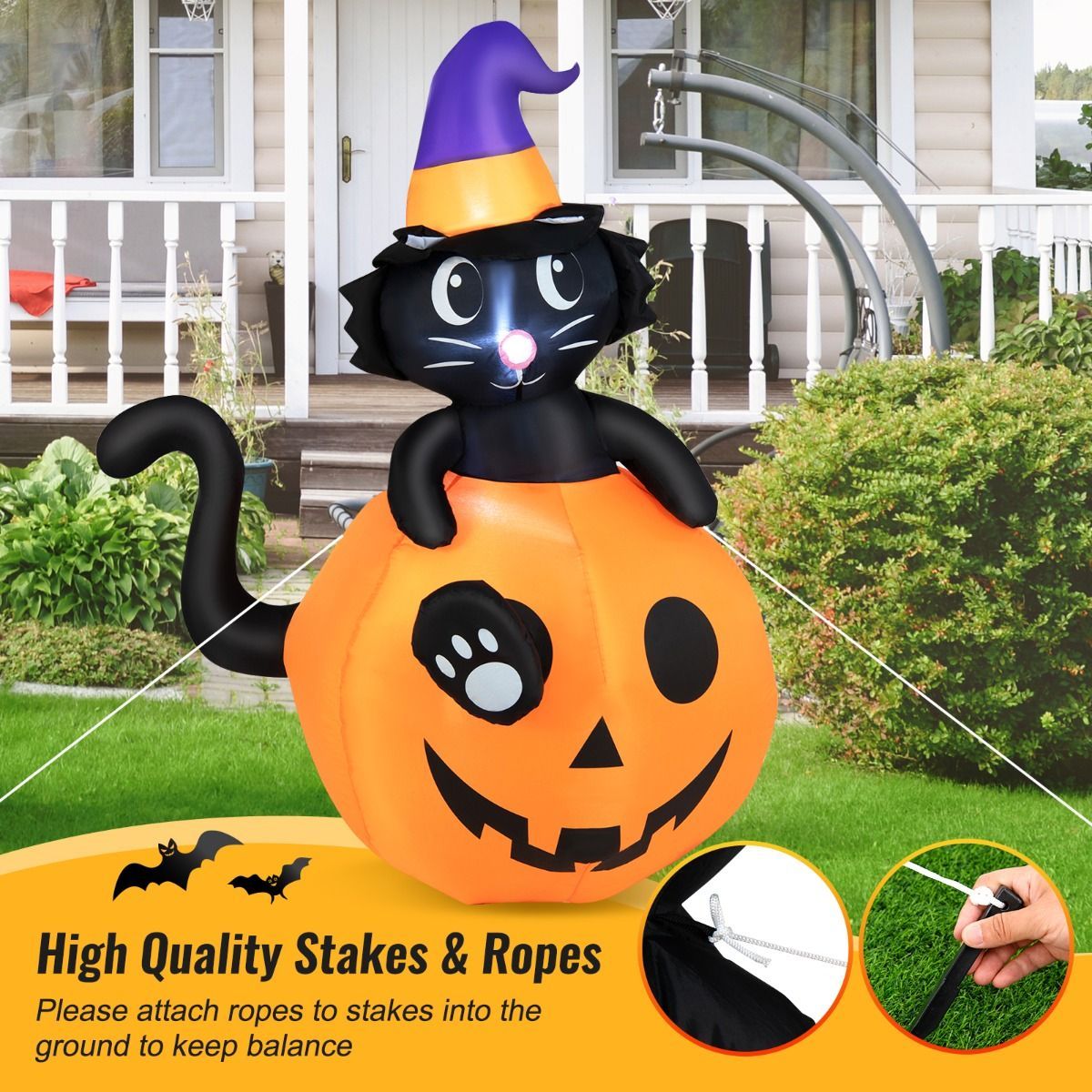 https://img.crazysales.com.au/products_pictures/3110/311030_2694232_F.jpg