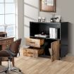 2 Drawer File Cabinet with Door with Industrial Style for Living Room