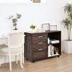 3-Drawer Mobile File Cabinet with Adjustable Shelf for Home & Office