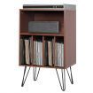 Vinyl Record Storage Player Stand with 5 Open Compartments for Living Room & Bedroom