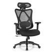 Ergonomic High Back Mesh Office Chair with Adjustable Lumbar Support for Home Office