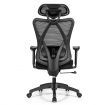 Ergonomic High Back Mesh Office Chair with Adjustable Lumbar Support for Home Office