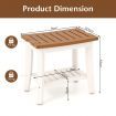 2-Tier Shower Bench with Storage Shelf for Inside Shower & Shaving Legs