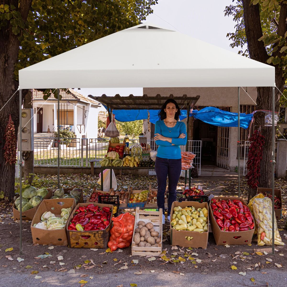 3m x 3m Height-Adjustable & Tiltable Pop-up Canopy with Carry Bag