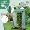 Walk-in Garden Greenhouse with Roll-up Door for Vegetables & Flowers