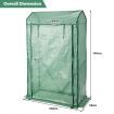 Walk-in Garden Greenhouse with Roll-up Door for Vegetables & Flowers