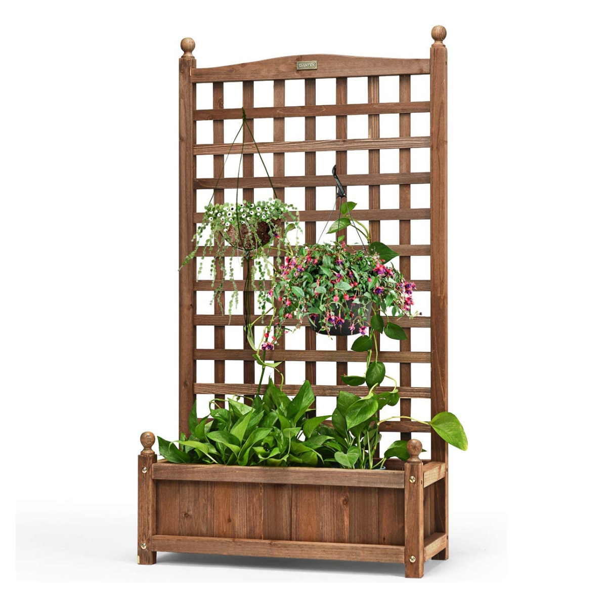 https://img.crazysales.com.au/products_pictures/3117/311777_2700344_F.png